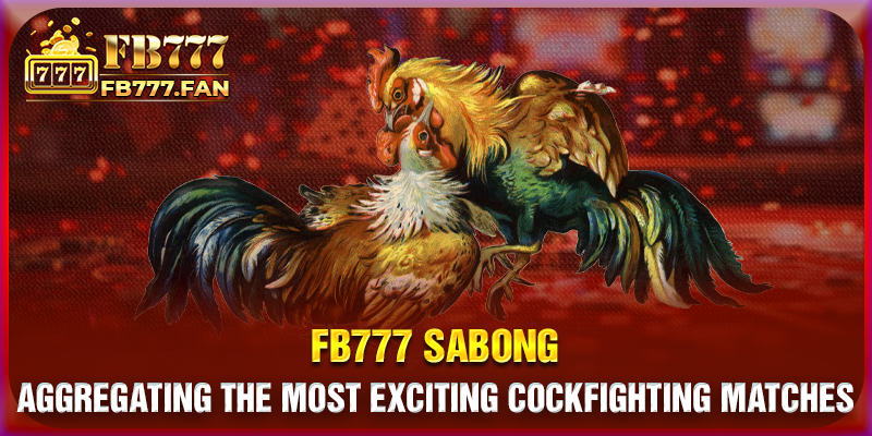 FB777 Sabong - Aggregating the most exciting cockfighting matches