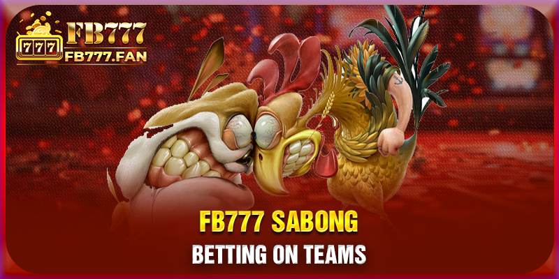 FB777 Sabong - Betting on teams