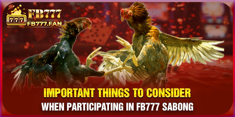 Important things to consider when participating in FB777 Sabong