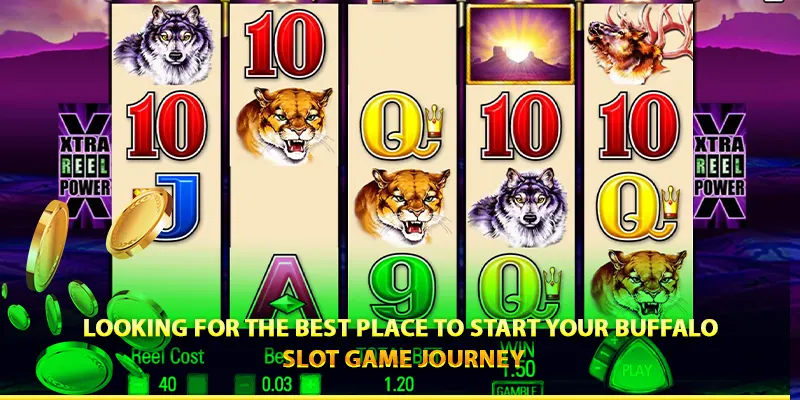 Looking for the best place to start your buffalo slot game journey